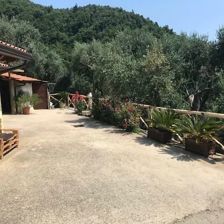 Holiday home Casa Vacanza L'uliveto