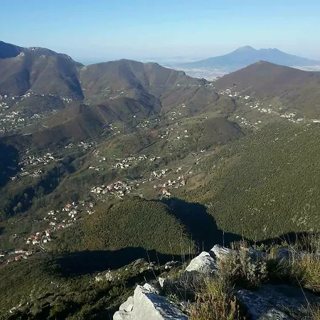 Casa Vacanza L'uliveto *