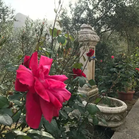 Casa Vacanza L'uliveto Holiday home *