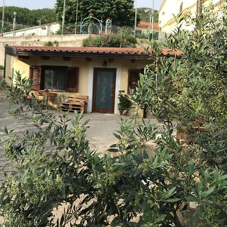 Holiday home Casa Vacanza L'uliveto *