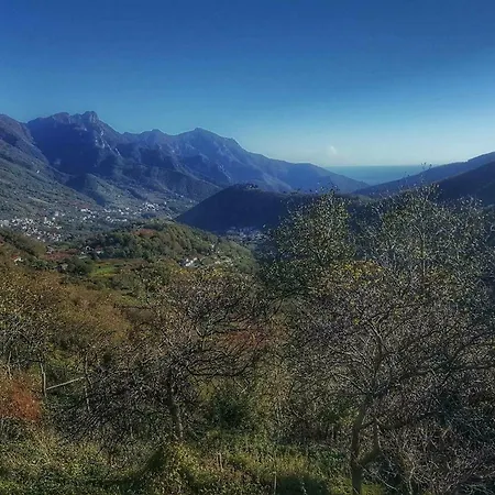 Casa de Férias Casa Vacanza L'uliveto